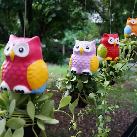 Sleep Owl Hostel-3